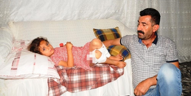 Başıboş köpek Ramazan Bayramı öncesi mahalleye dehşeti yaşattı! 5 yaşındaki küçük kız ölümden döndü