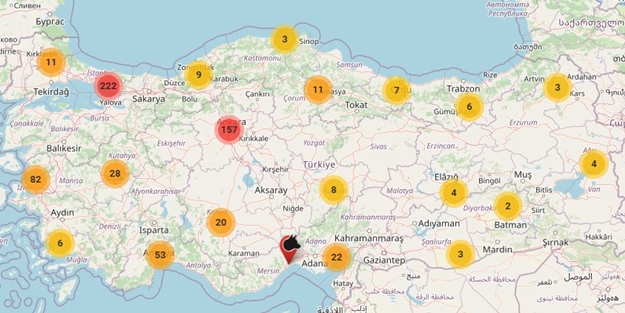 Başıboş köpek tehlikesine uygulamalı çözüm!