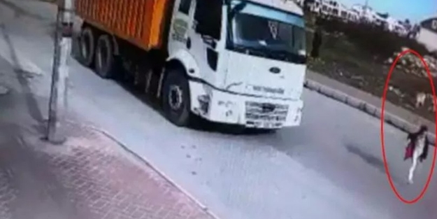 Başıboş köpek terörü bir kurban daha aldı! Mahra Melin Pınar'dan acı haber