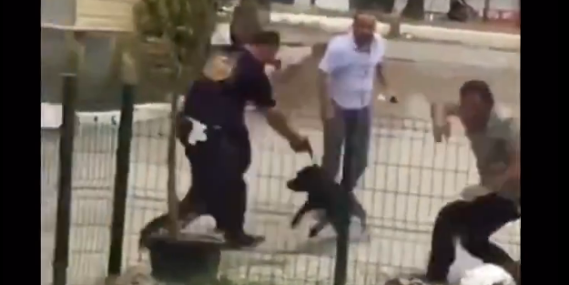 Başıboş köpek vatandaşa saldırdı! Polis vurarak durdurabildi