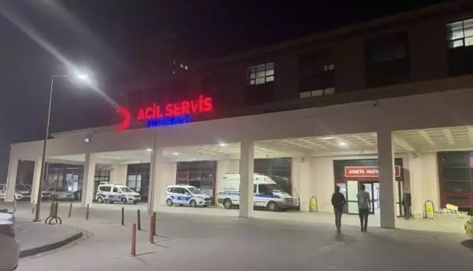 Başıboş köpek yine can alıyordu! Kafasını kaldırıma çarptı