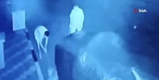 Başıboş köpekle mücadele edelim de bu olacak iş mi? Sokakta yatan köpeği acımasızca darbettiler