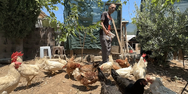 Bu zararı hayvanseverler karşılayacak mı?