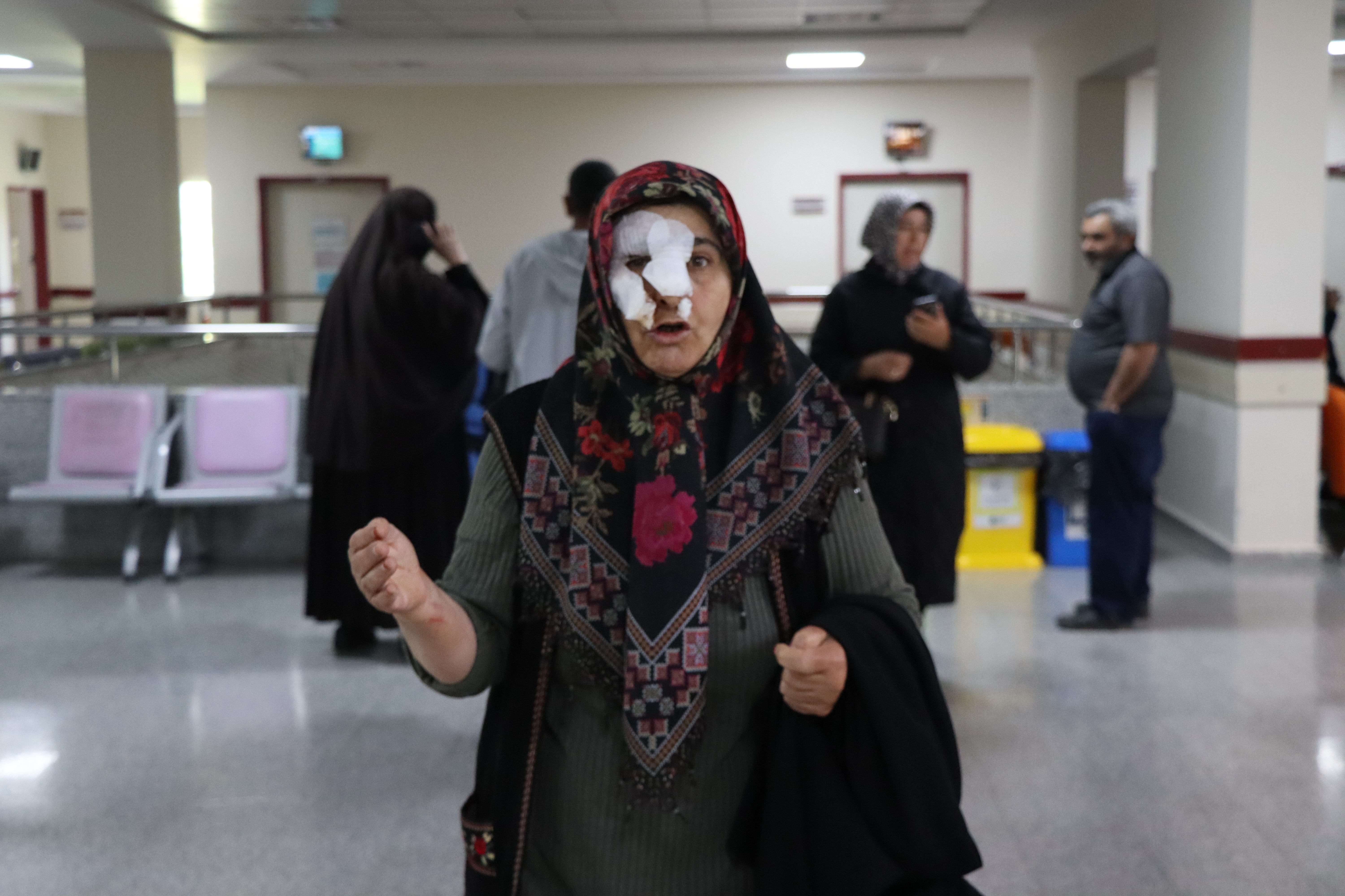 Başıboş köpekler dehşet saçmaya devam ediyor! Yaşlı kadın ölümden döndü