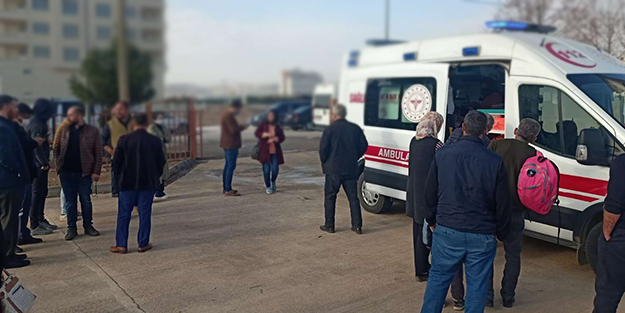 Başıboş köpekler okula giden öğrencilere saldırdı! 3 yaralı