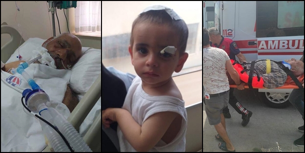 Başıboş köpekler; son 3 haftada 3, 6 ayda 11 can aldı! Güvenli Sokaklar Derneği'nden 'başıboşluğa son verilsin' çağrısı!