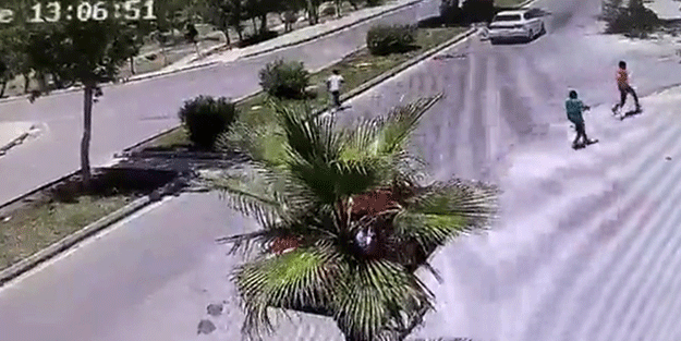 Başıboş köpekler terör estirmeye devam ediyor Bir ‘mahra’ vakası daha