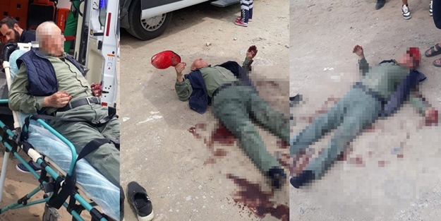 Başıboş köpekler, yaşlı adama dehşeti yaşattı! Kanlar içinde kaldı