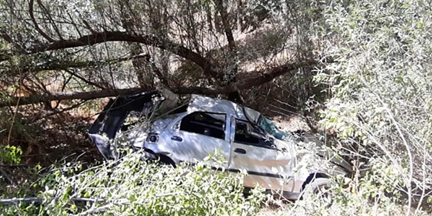 Başıboş köpeklere müdahale edilmesi için daha kaç insan ölecek? Köpeğe çarpmamak için...