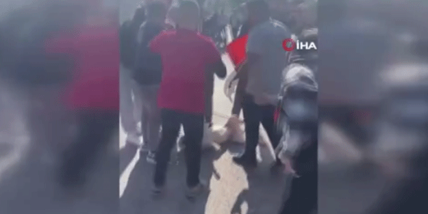 Başıboş köpekleri toplamak isteyen belediye ekipleriyle vatandaş arasında arbede!