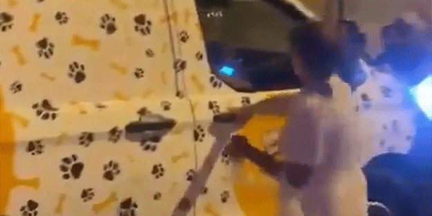 Başıboş köpekleri toplayan ekiplere saldırı! Tehditler havada uçuştu