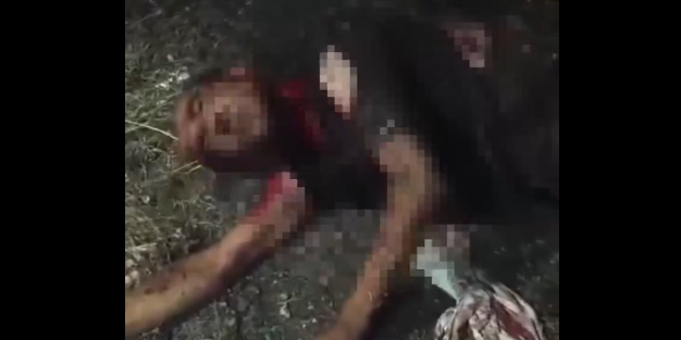 Başıboş köpeklerin saldırıp öldürdüğü kişinin son görüntüleri ortaya çıktı