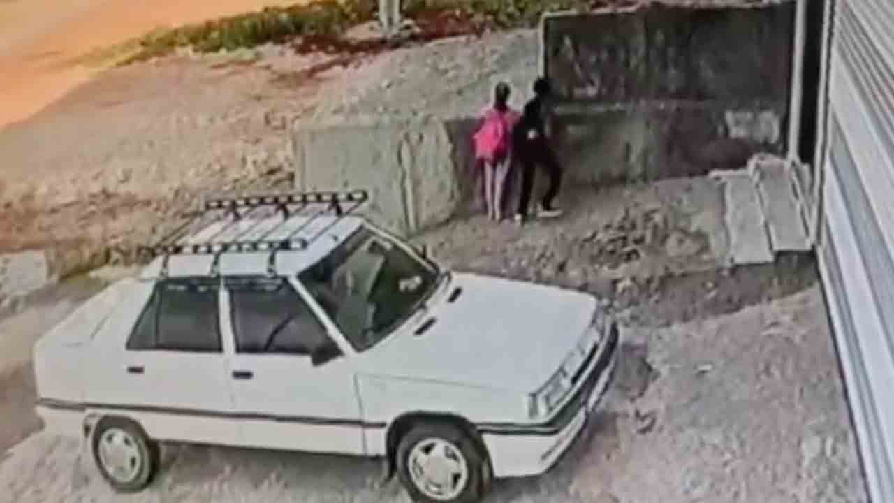 Başıboş sokak köpeği ve itperest terörü bitmiyor!