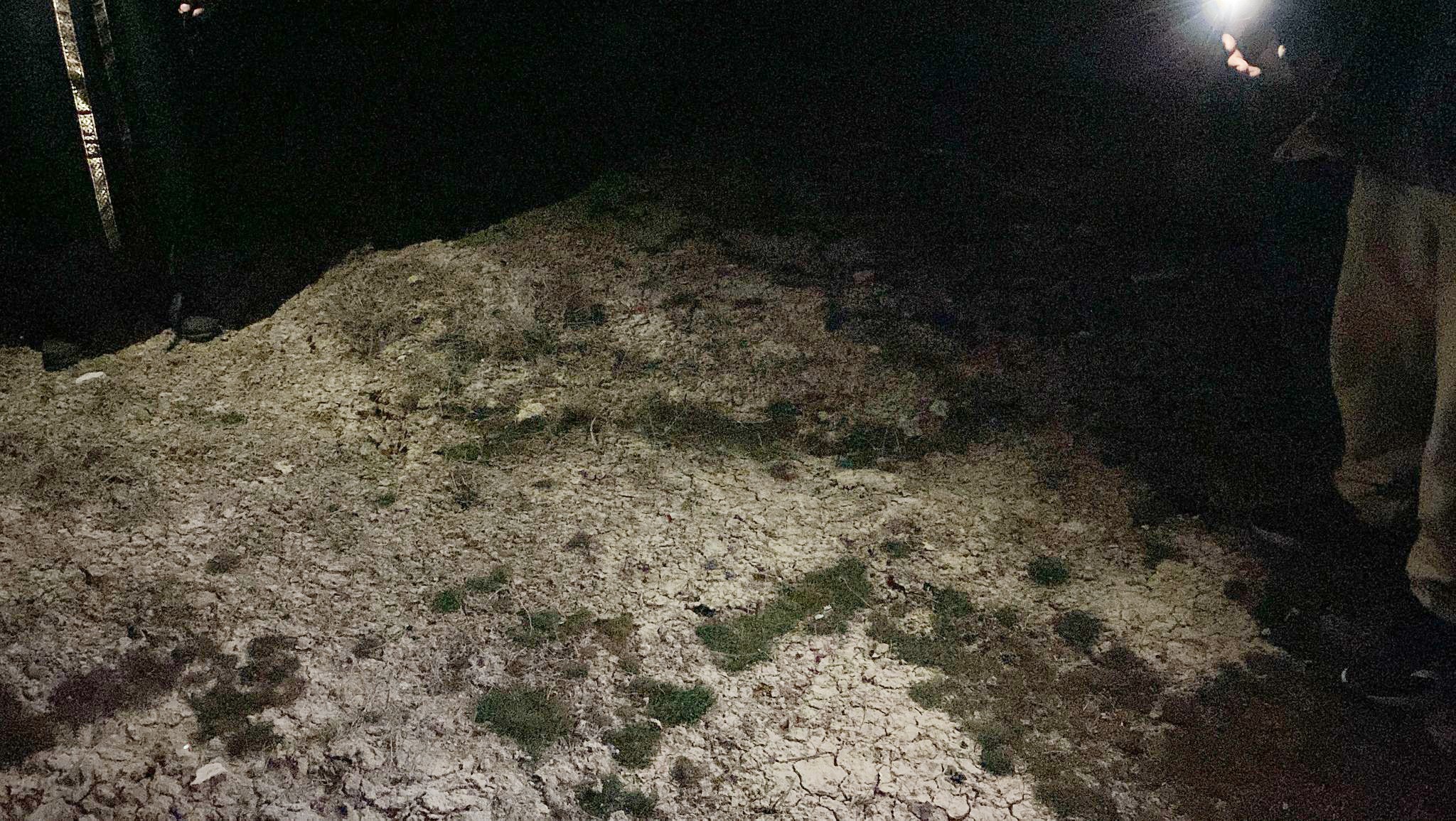 Başıboş sokak köpekleri bir can daha aldı!