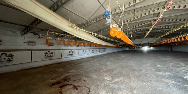 Başına kürekle vurulan kadın hayatını kaybetti