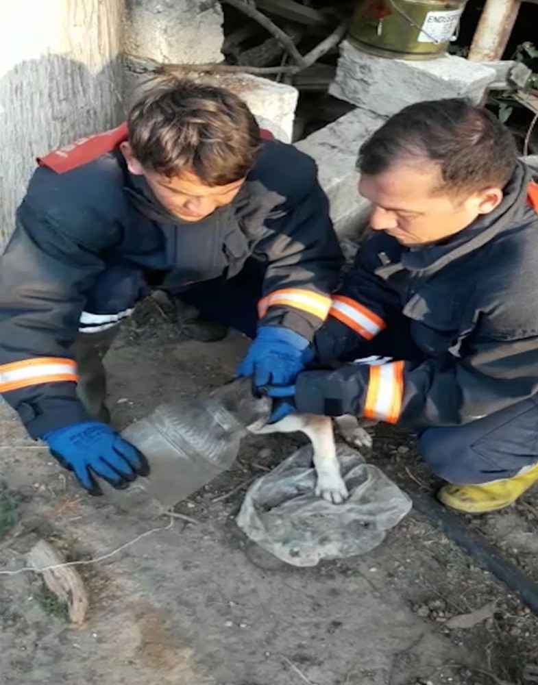 Başını plastik bidona sıkıştıran yavru köpeği itfaiye kurtardı 
