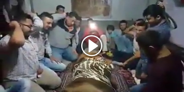 'Başka ülkede yaşayamam' dedirten oyun: Tabur vur!