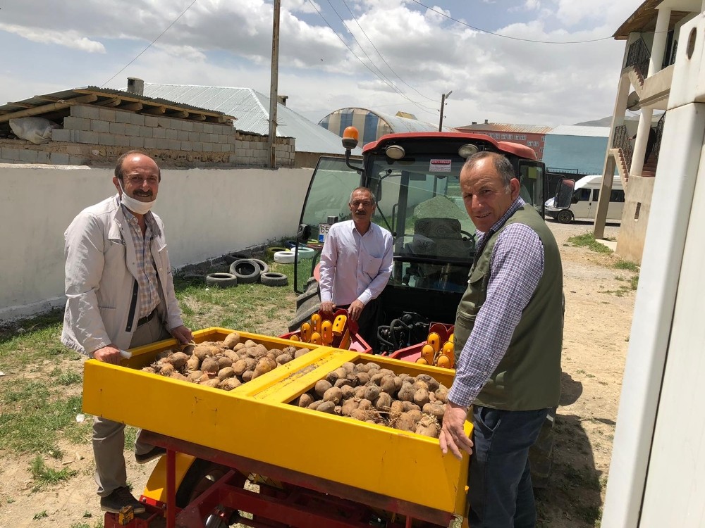 Başkale’de patates ekimi 
