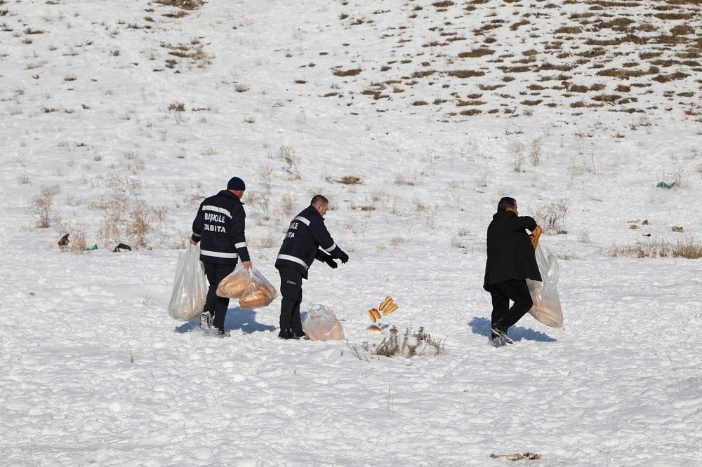 Başkale’de sahipsiz sokak hayvanlarına yem desteği 