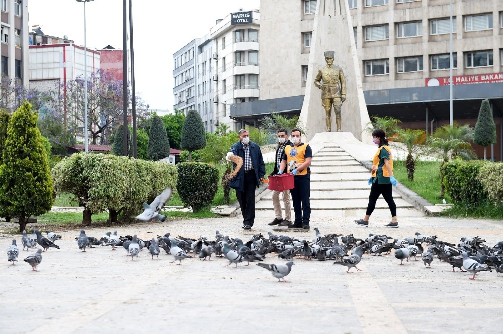 Başkan Akay güvercinleri besledi 