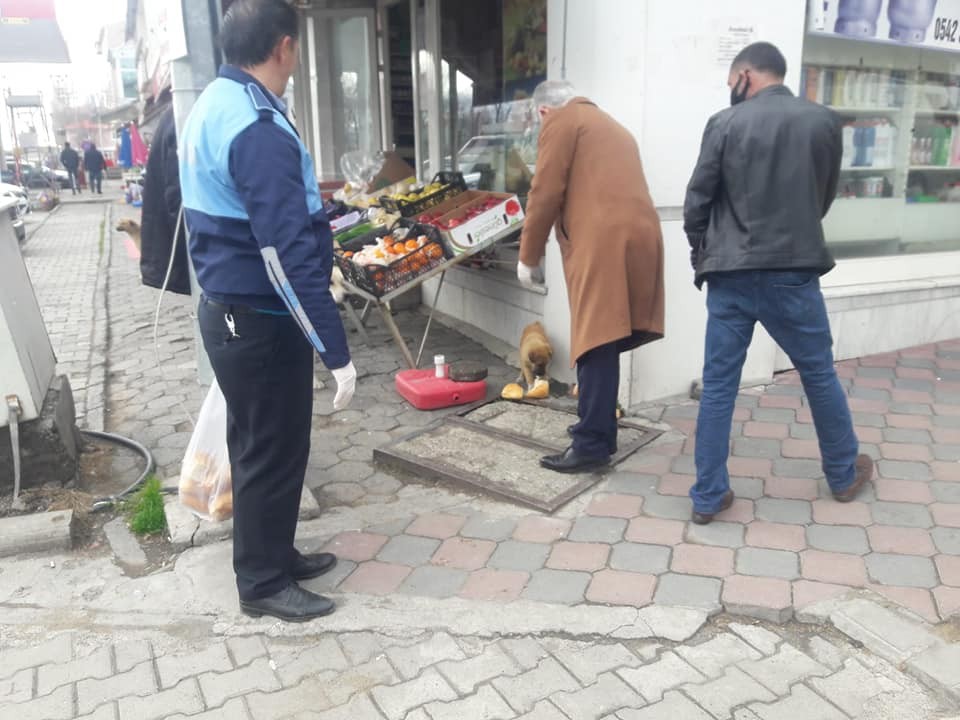 Başkan Altay, sokak hayvanlarını unutmadı 