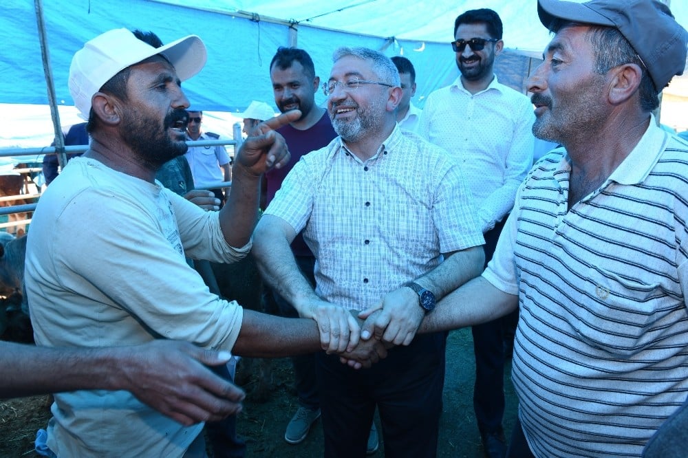 Başkan Aşgın’dan, Hayvan Pazarında inceleme 