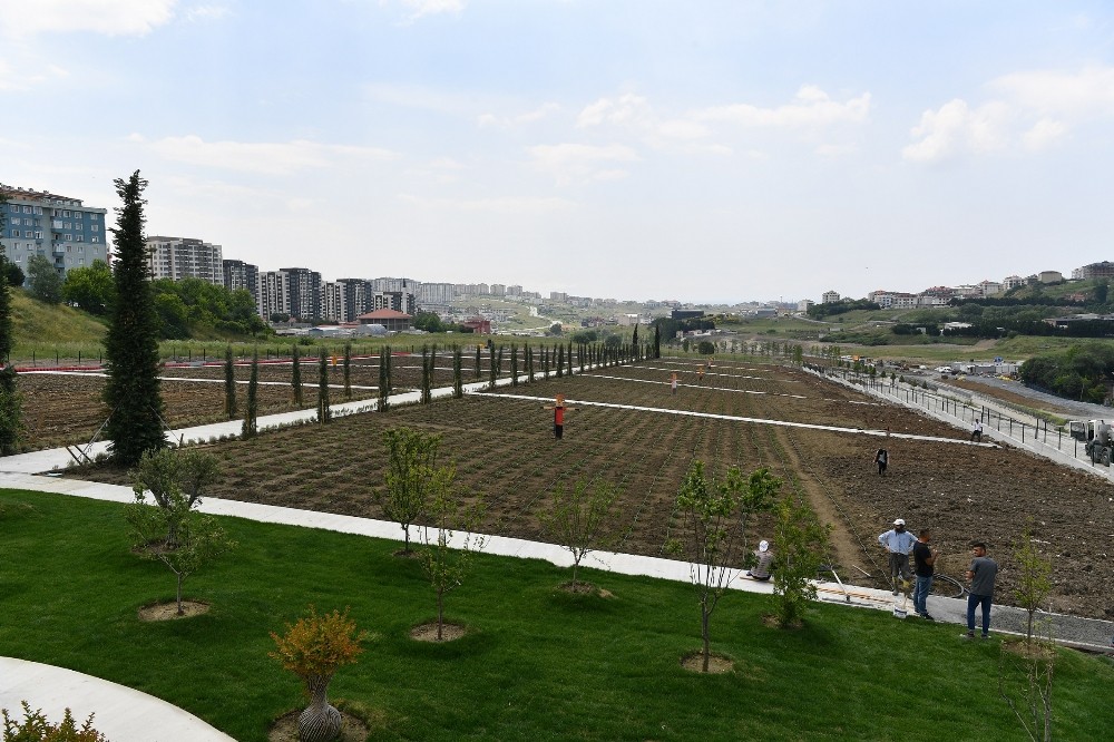 Başkan Çalık: “Beylikdüzü’nün her tarafını yeniliyoruz” 