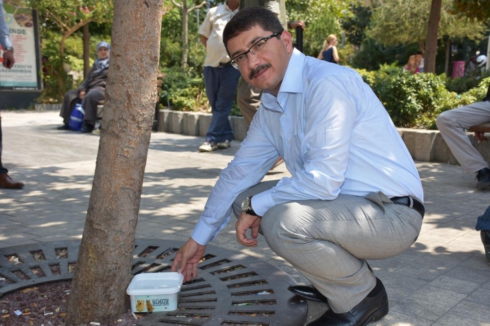 Başkan Çelik’ten sokak hayvanları için anlamlı çağrı 