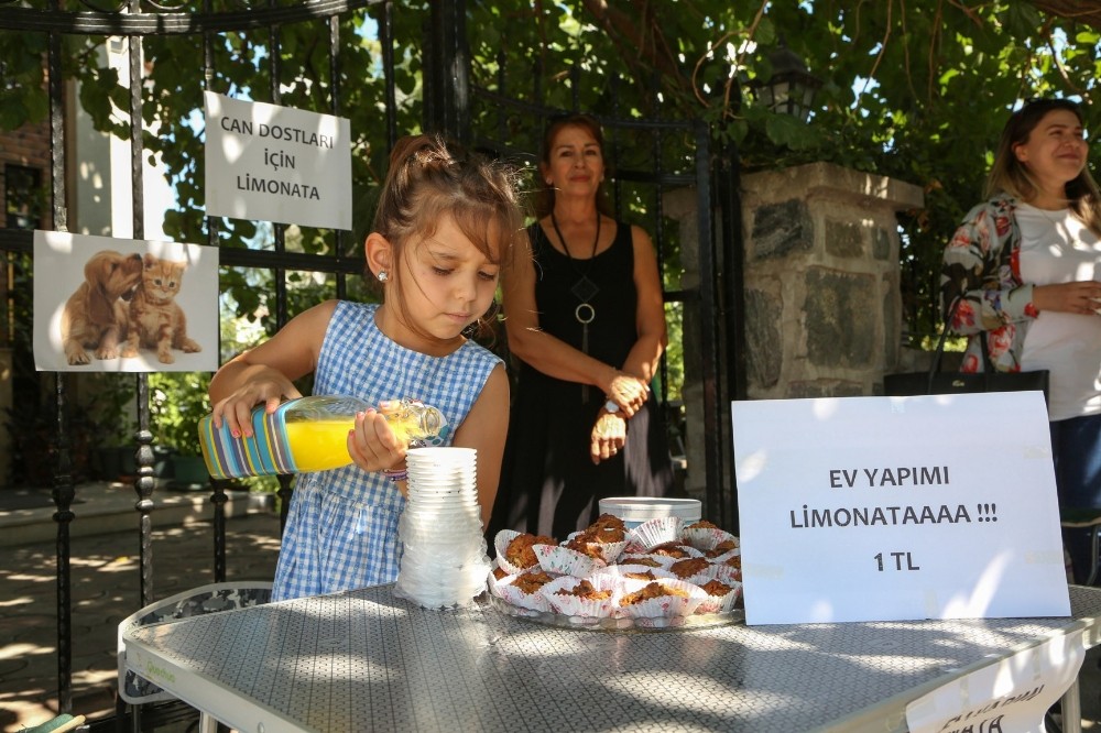 Başkan Erdem’den hayvan dostu Ada’ya ziyaret 