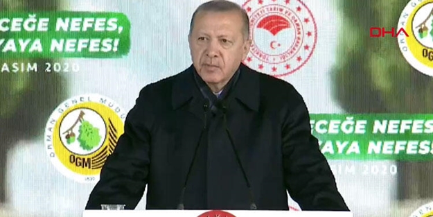 Başkan Erdoğan: Bizi eleştirenler PKK'lı teröristlerin yaktığı ormanlardan hiç bahsetmiyor