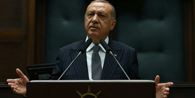 Başkan Erdoğan'dan başıboş köpek sorunu açıklaması