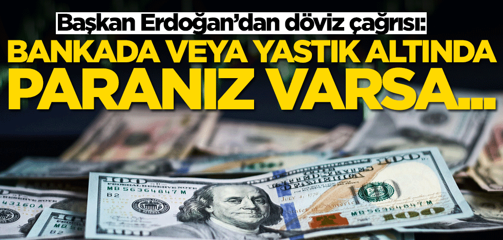 Başkan Erdoğan'dan dolar çağrısı: Bankada ve yastık altında parası olanları...