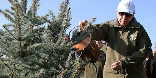 Başkan Erdoğan'dan Dünya Çevre Günü mesajı