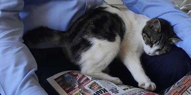 Başkan Erdoğan'dan güldüren paylaşım