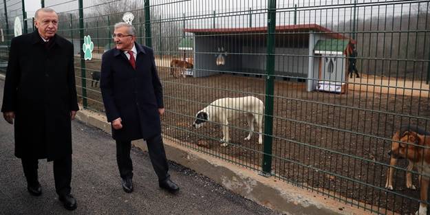 Başkan Erdoğan'dan sevimli dostlara ziyaret