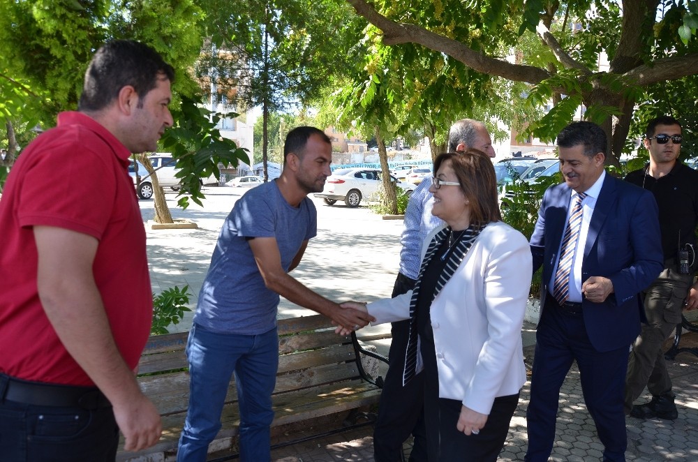 Başkan Fatma Şahin, Şırnak’a kitap kafe kuracak 