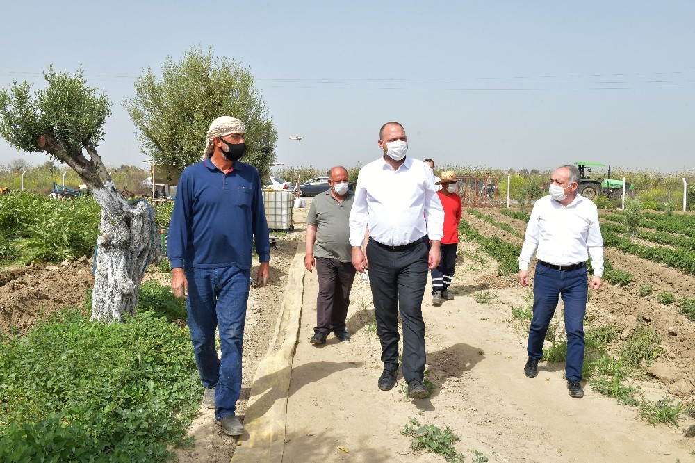 Başkan Gümrükçü, Çiftçiler Günü’nü tarlada kutladı 