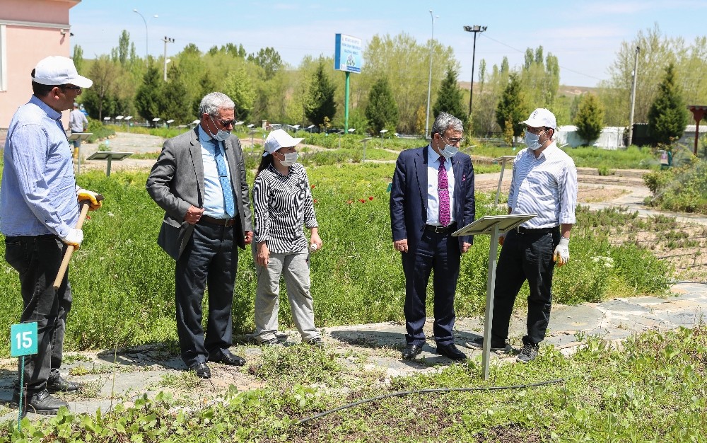 Başkan Işık, Hekim Sinan Tıbbi Bitkiler Araştırma Merkezi’ni ziyaret etti 