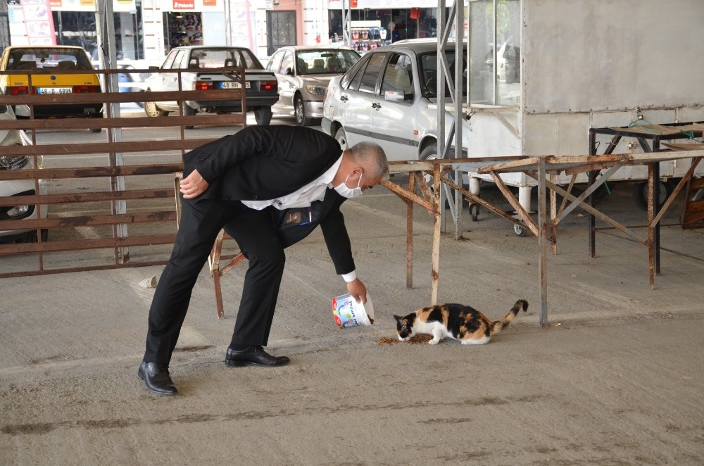 Başkan Karakuş sokak hayvanlarını elleriyle besledi 