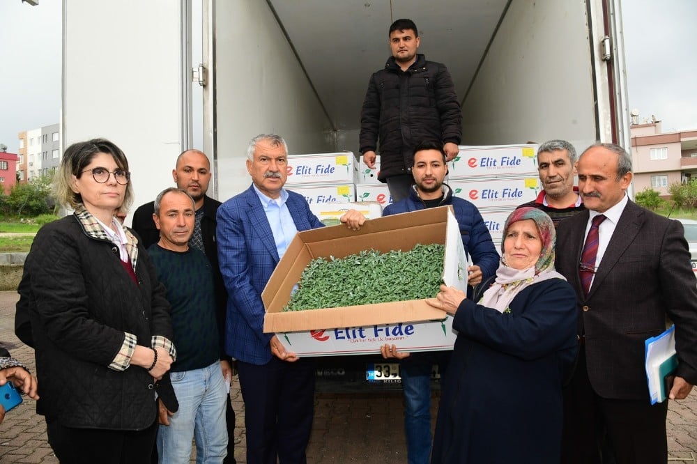 Başkan Karalar’dan köylüye domates fidesi desteği 