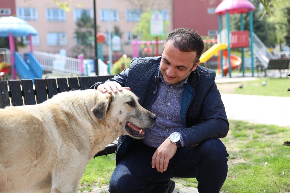 Başkan Kibar: “En zor olan süreci tamamladık” 
