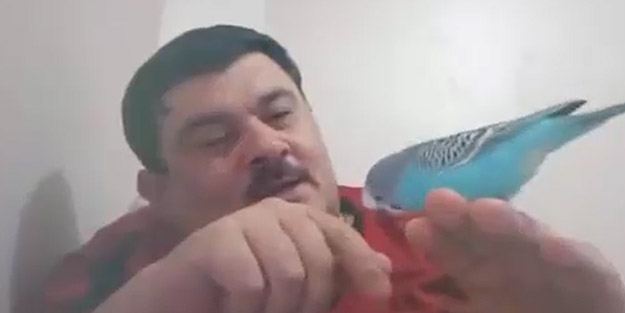 ‘Başkan kim?’ sorusuna bakın ne cevap veriyor! Bu muhabbet kuşunun Erdoğan sevgisi bir başka