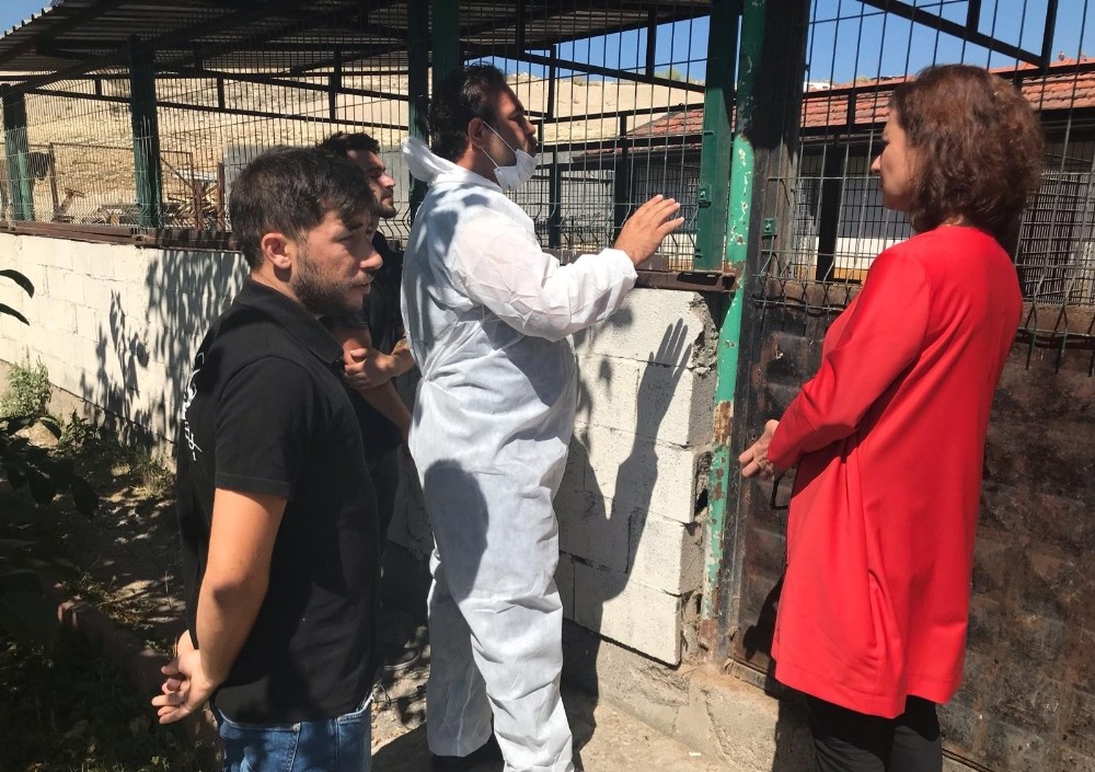 Başkan Köse’den hayvan barınağında inceleme 