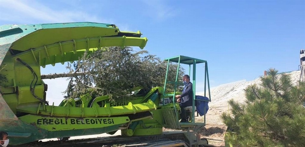 Başkan Oprukçu: “Ağaç dikmek bizim işimiz” 