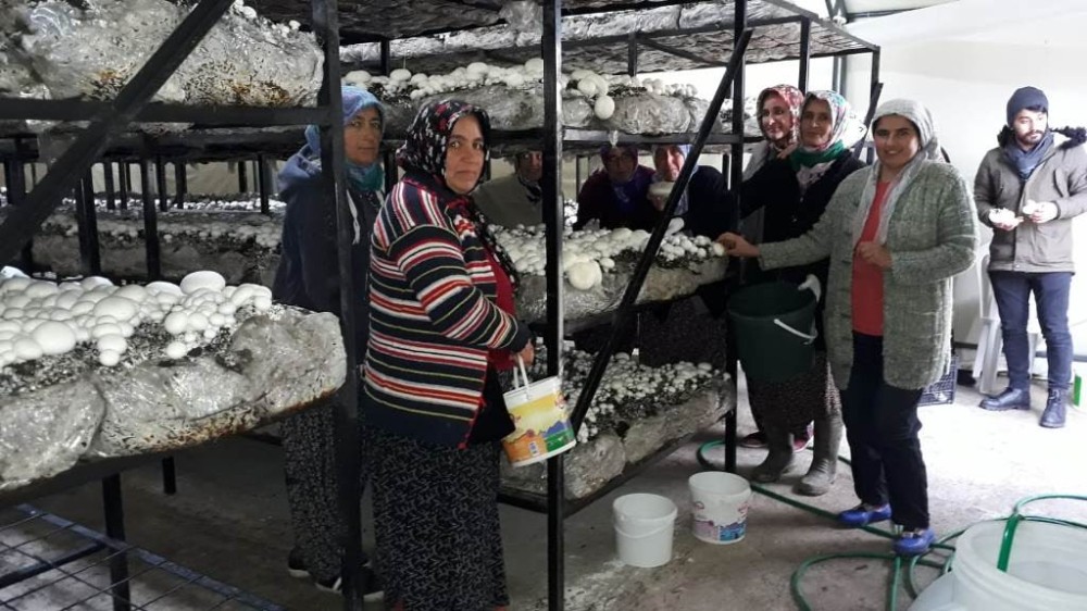 Başkan Oprukçu’dan girişimcilere destek 