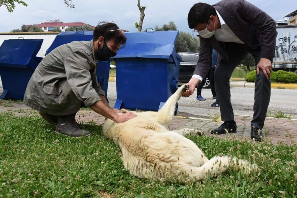 Başkan Özcan; 