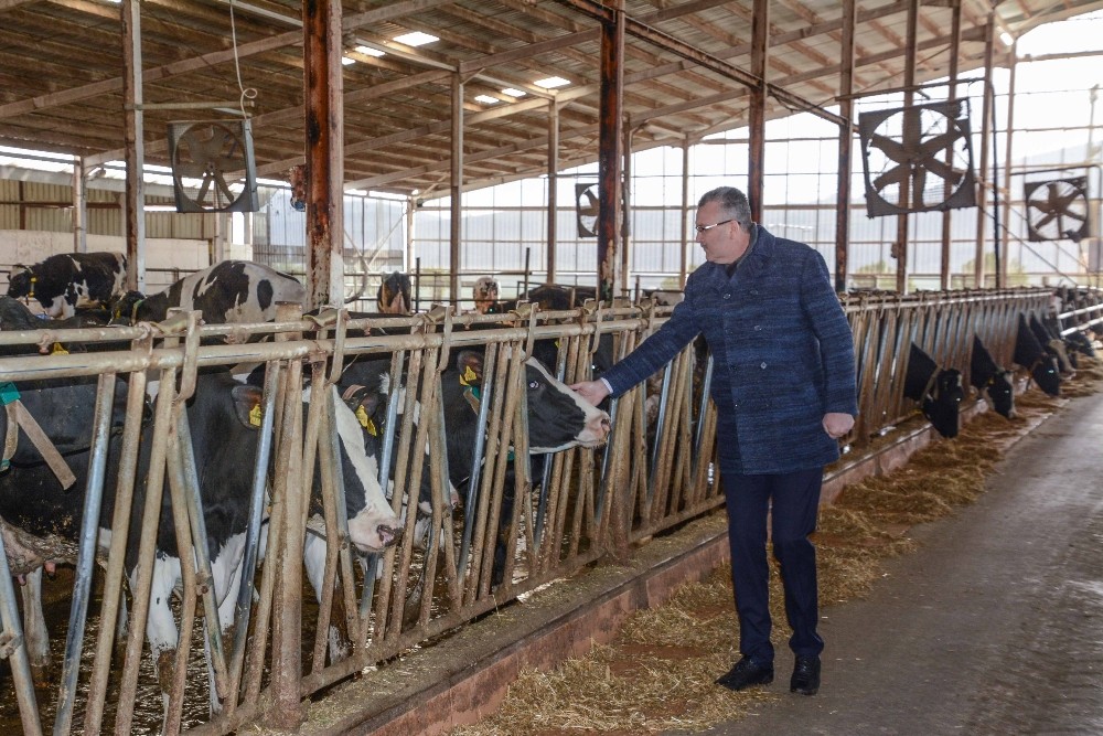 Başkan Özkan’dan üreticilere destek ziyareti 