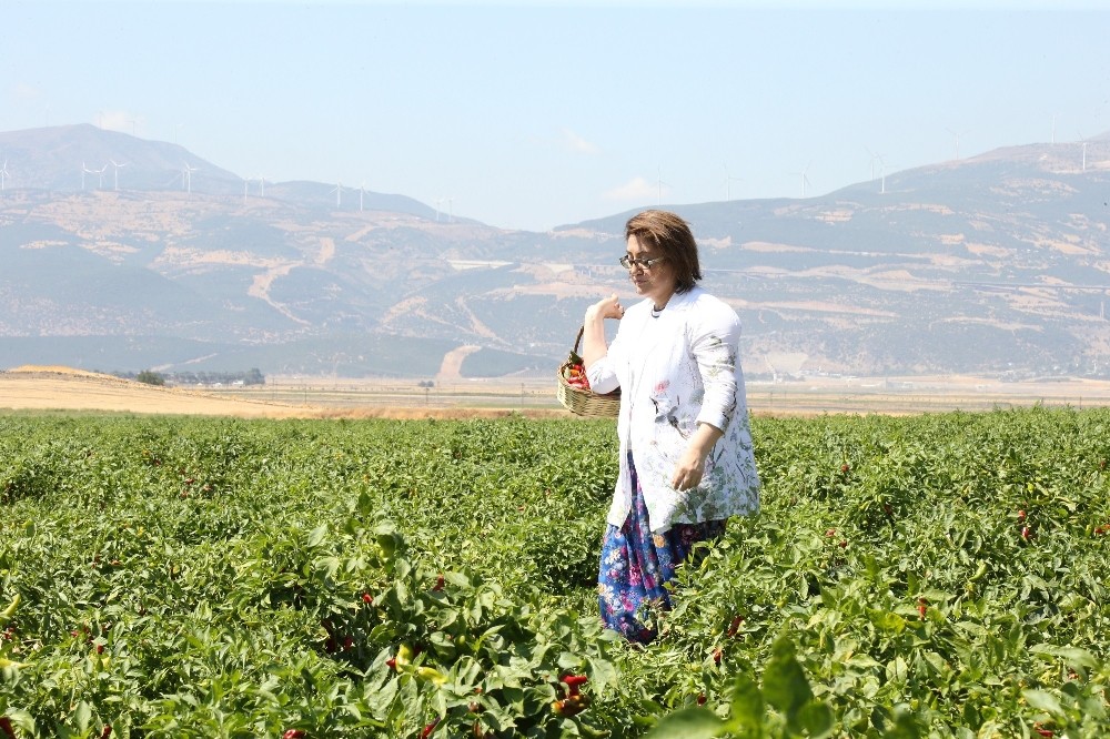 Başkan Şahin, Antep sofrasını markalaştırdı 