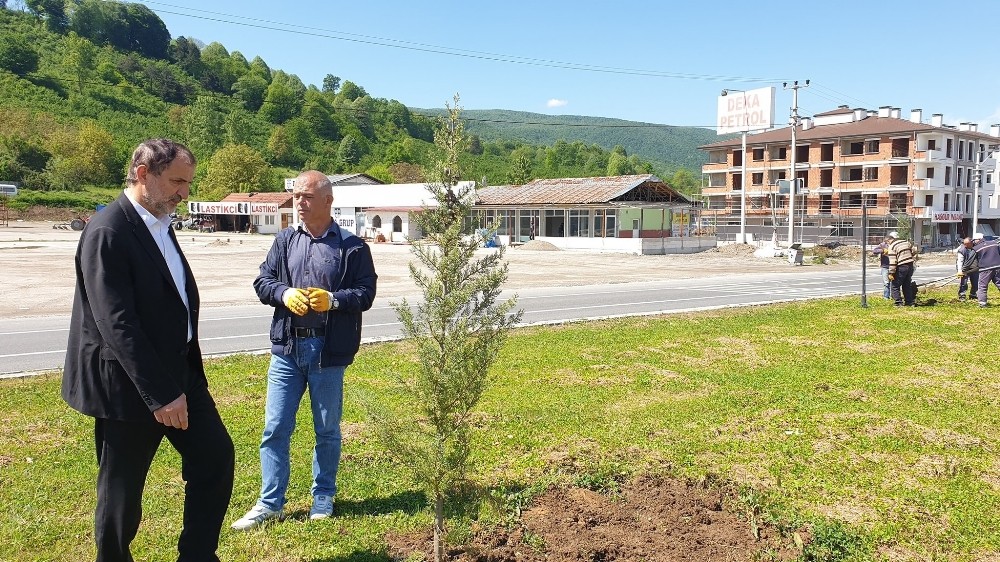 Başkan Şahin çalışmaları yerinde inceledi 