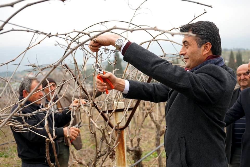 Başkan Selçuk üzüm bağlarında işçilerle buluştu 